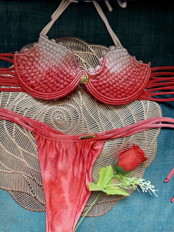 Bikini Copa Degradé